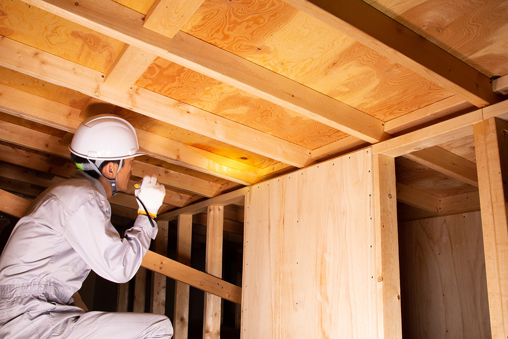 害獣被害、放置すると二次被害も⁉︎早めの駆除で安心を