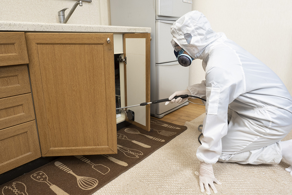 厄介で不衛生なゴキブリを撲滅もう怯えなくて大丈夫!